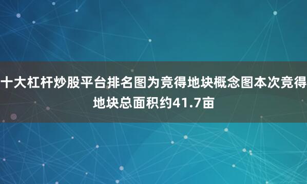 十大杠杆炒股平台排名图为竞得地块概念图本次竞得地块总面积约41.7亩
