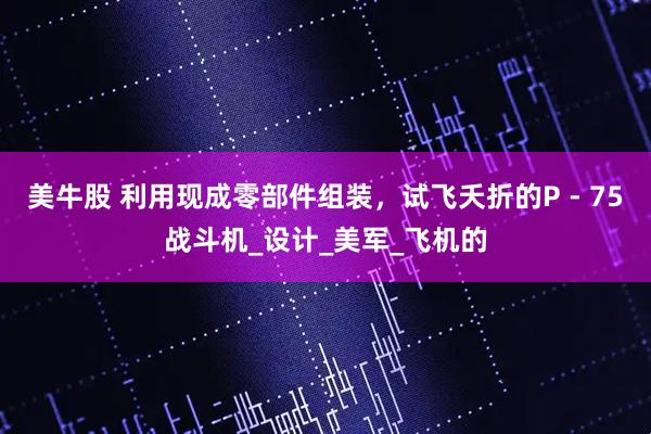 美牛股 利用现成零部件组装，试飞夭折的P - 75战斗机_设计_美军_飞机的