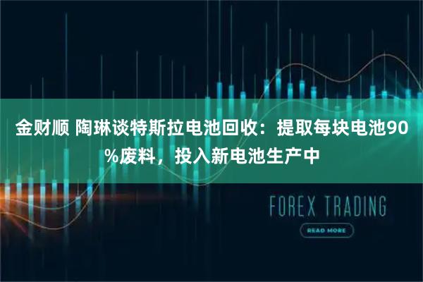 金财顺 陶琳谈特斯拉电池回收：提取每块电池90%废料，投入新电池生产中